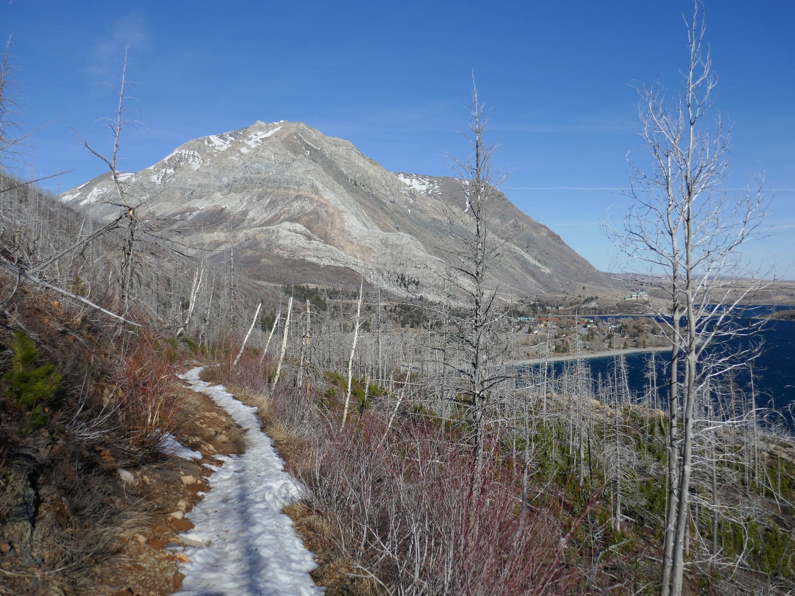 Randonnée ou ski – Votre choix en Alberta